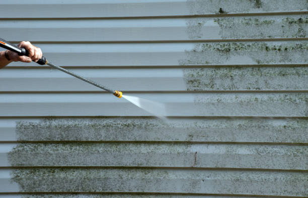 Best Mold Removal Process  in Schuylerville, NY